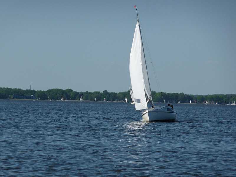 P1000483.JPG