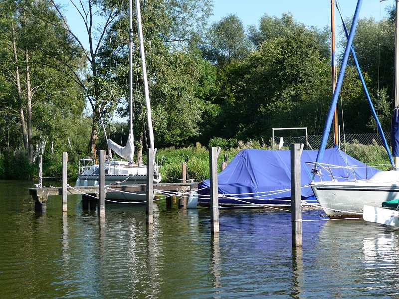 P1000675.JPG