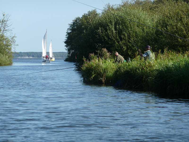 P1000876.JPG