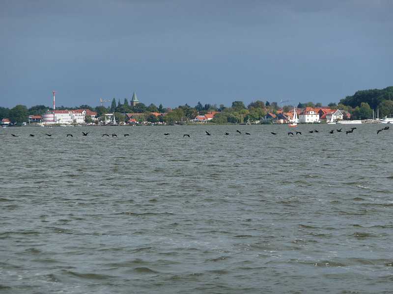 P1010186.JPG