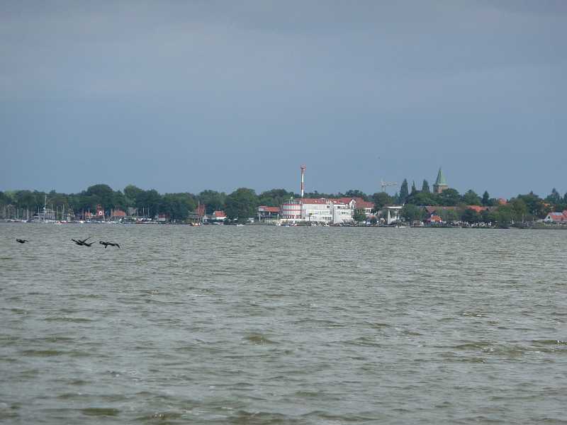 P1010190.JPG