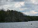 P1010141